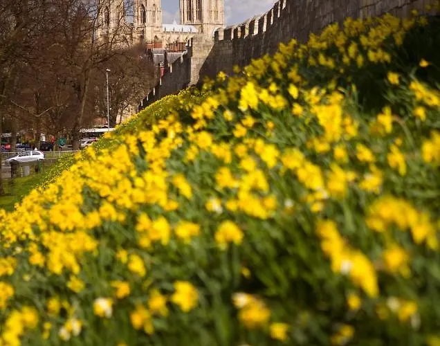 Shambles In The Centre Of York, Sleeps 16 *