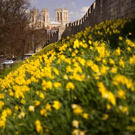 Shambles In The Centre Of York, Sleeps 16 *